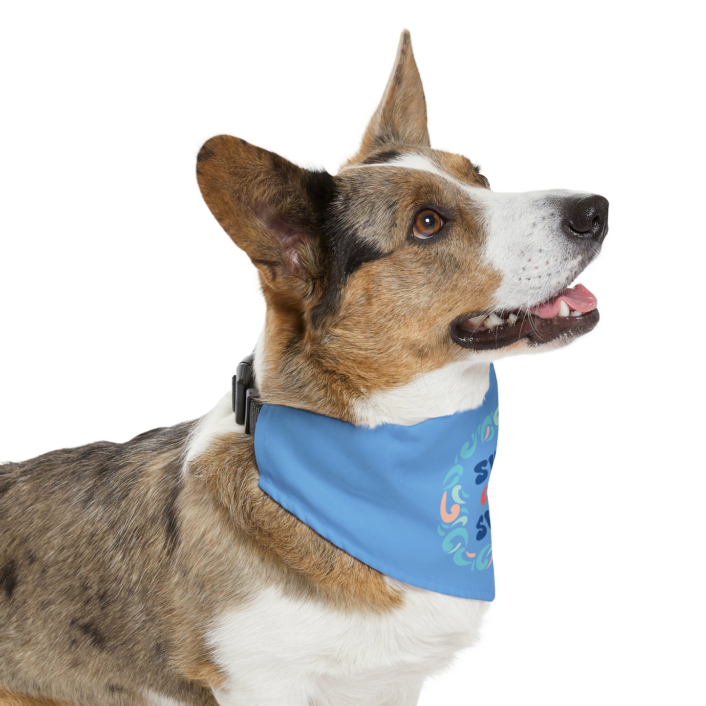 SwimCity Pet Bandana Collar