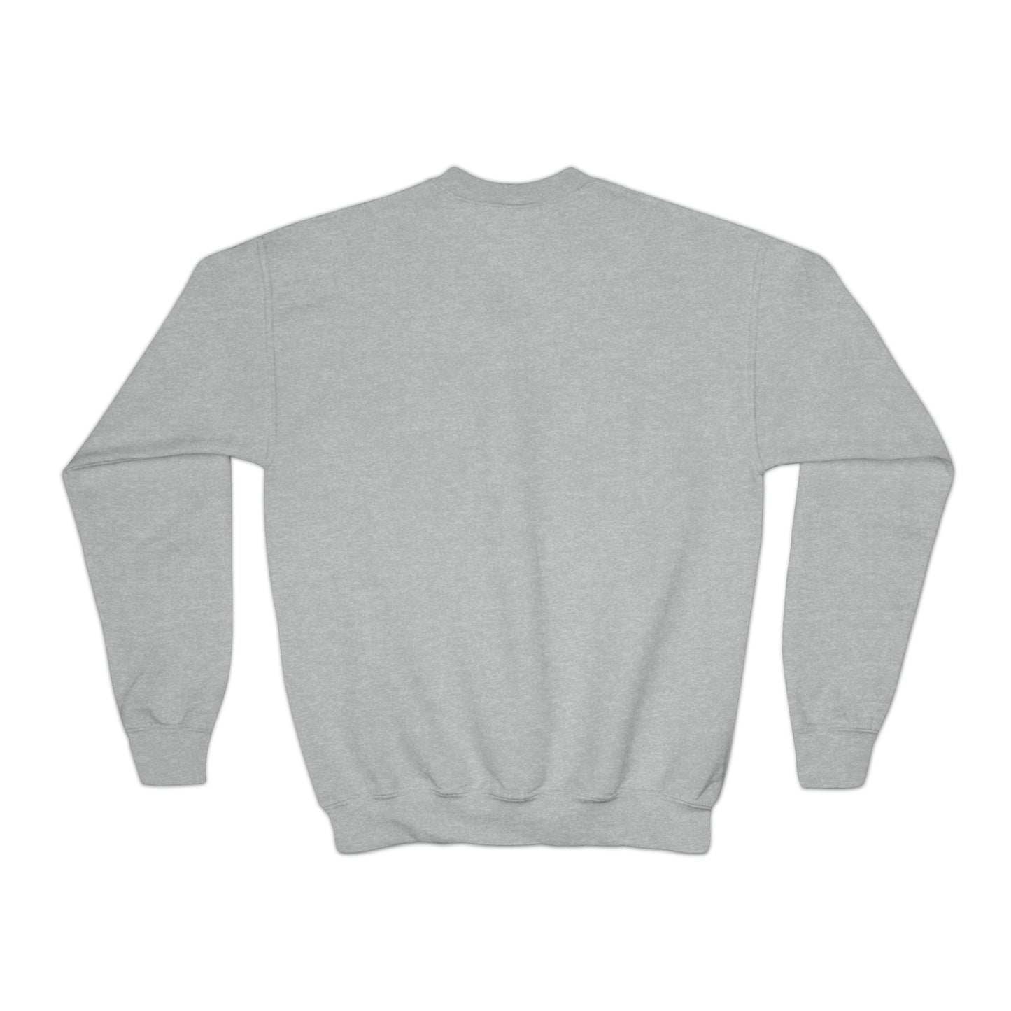 Youth SwimCity Logo Crewneck Sweatshirt